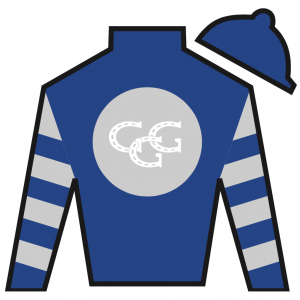Go Go Greys Stable, LLC